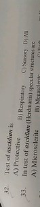 Test of ascidian isA) ProtectiveB) RespiratoryC) SensoryD) ... | Filo