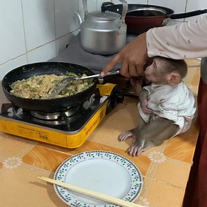 20K views · 393 reactions | Adorable baby monkey helps mom cooking food for eat look delicious . #monkeylove #monkeybaby #adorable #adorablemonkey #babyanimal #monkeysmart #reelsfypシ #reel | The Freshly | Facebook