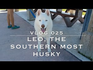 Life With Leo the White Husky - Full Time Travel with a Dog