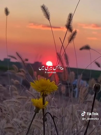 Rait Si Boond Ka Zariya - Full Song and Lyrics