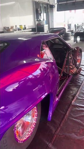 Walk around of TYR Screw Blown Pro Mod “Elvira” in RvW trim.