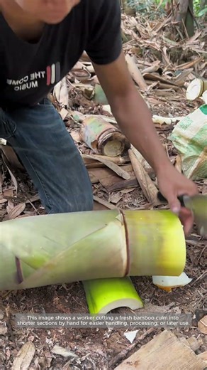 Hand Cutting Bamboo into Usable Sections