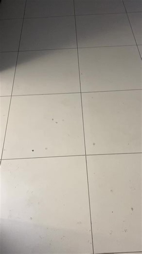 Erika German Song Meme: The Funniest Moments