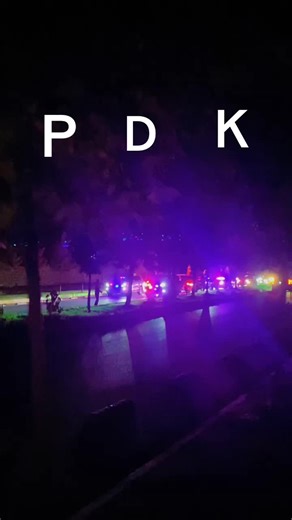 Nighttime Police Activity with Flashing Lights