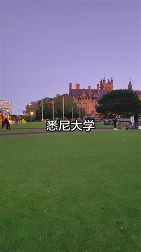 #上悉尼大学（The University of Sydney，USYD）是澳大利亚历史最悠久的顶尖公立研究型大学，被誉为\"澳大利亚第一校\"，也有\"南半球牛津\"之一