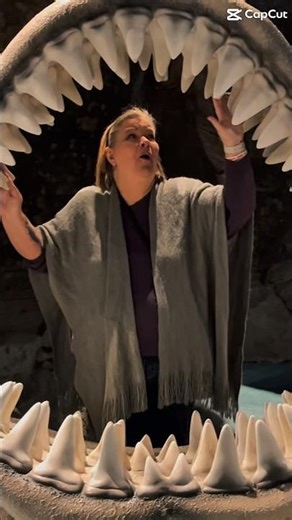 Blue Zoo Aquarium #short #shorts #bluezoo