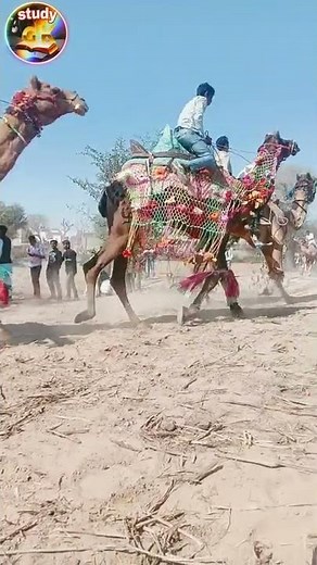 Ramdevra fair (full video coming soon)