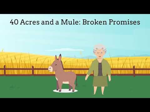 AA History Lesson 37 |Black Codes, Sharecropping & Convict Leasing