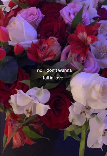 凍った魂 on TikTok