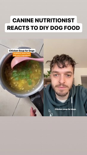 Homemade Chicken Soup for Dogs: A Canine Nutritionist's Guide