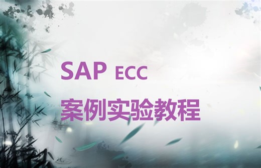 SAP ECC案例实验教程 01