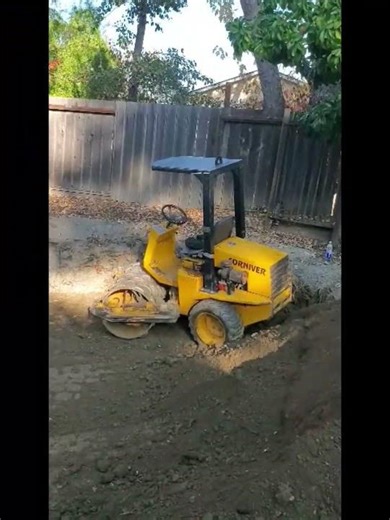 Miguel #pool #backfilling