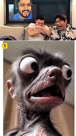 Tom Holland React Viral Videos #tomholland #funny #trynottolaugh #reaction