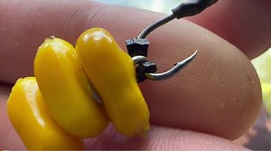 233K views · 423 reactions | Awesome Life Hacks for Fishing! Fishing Skills | DIY Fishing #knot #diy #hook #trap #lure #fishing #fish #fisherman #fishinglife | Mumu Kitchen | Facebook