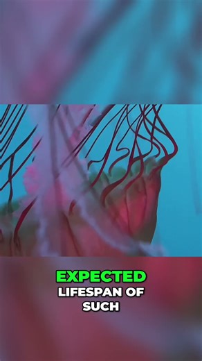 Hydras' Secret: The Science of Ageless Bodies and Regeneration! #shorts