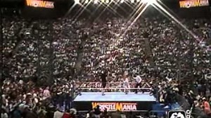 Wrestlemania 8: Undertaker vs Jake Roberts