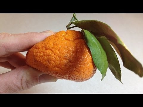 When is it ripe? Tangerines