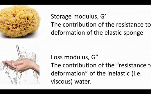 储能模量和耗散模量初识 Storage modulus (G’) and loss modulus (G”) for beginners