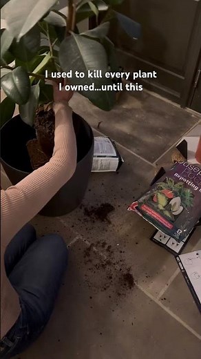 The magic is in the self watering planter! No more worrying about over or under watering! Link below