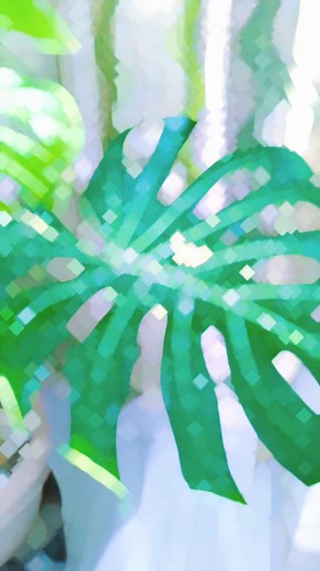 Koyta gach chilo ekhane? | Syed Abdul Ahad