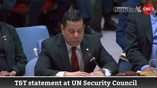 Trinidad and Tobago ambassador to the UN, Neil Parsan, has delivered this country's statement at the UN Security Council's emergency meeting on Venezuela. | T&T Guardian