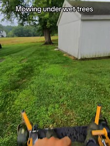 Mowing under wet trees baby ! Sorry neighbors for the early morning wake up! | swiggitymann | Facebook