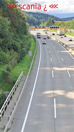 Ford - Volvo - MAN - Mercedes oder Scania #LKW