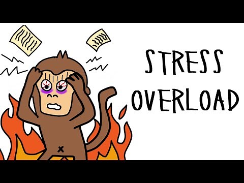 The Real Reason Monkey Is Always STRESSED (And How to Fix It)
