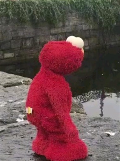 elmo is such i diva, i love him🥹🥹 #donewithlife #MLM #fyppp #elmo