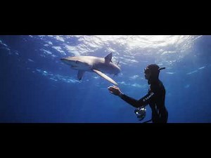 Ulysse Nardin | Diver Collection