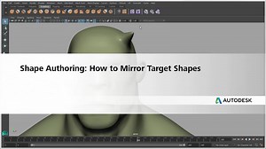 Mirror target shapes