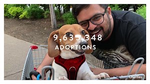 1.5K views · 799 reactions | Together we’ve helped over 10 Million pets get adopted. Help us help millions more during #NationalAdoptionWeek March 6 - 12. | PetSmart Charities | Facebook