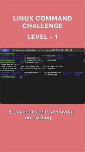 Linux command line change 1 ls cat cp mv