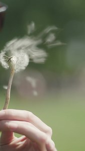 2.4K views · 95 reactions | Spring has sprung  Get the spring fever by watching our broadcast now We’re live on live.awakenings.com | Awakenings | Facebook