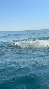What an epic jump!!! Merman!!! #fish #fishing #fisherman #jump #merman @coastalbrewbaits @downsouthlures @waterloooutfitters @waterloo_rod_company_ @bcforrester @reelsportswear @reelrushcharters #fish #fisherman | Michael Kubecka