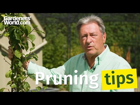 Plants to PRUNE in SUMMER with Alan Titchmarsh