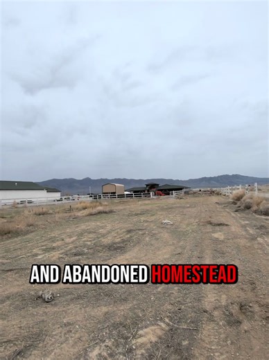 Join me on my journey restoring my ranch and racetrack. #realestate #racetrack #horses #ranch #homestead