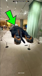 Building Wooden Log Cabin in Forest 🧐😍 _ Survival House Step by Step”99 #shorts #viral #fact