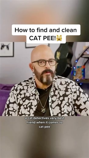 111K views · 946 reactions | Here’s how to find and clean cat pee! (And you can find these products on my website)! #HowTo #CatHacks #CatPee #Cats #CatProblems | Jackson Galaxy | Facebook