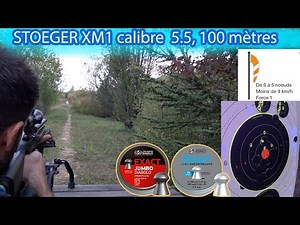 The only test of the Stoeger XM1 in 5.5 caliber, shot at 100 meters