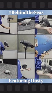 2.2K views · 42 reactions | With so much to see and do at the...