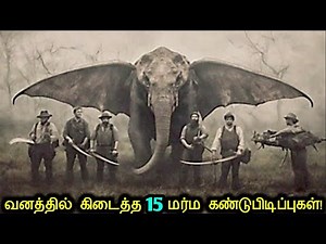 🌳வனத்தில் கிடைத்த 15 மர்ம கண்டுபிடிப்புகள்! | Mysterious Jungle Discoveries | Tamil Ultimate