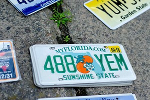 Renovación de sticker de placas Florida [2024]