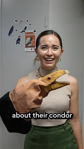 maya on Instagram: "I filmed my dream video at the San Diego Zoo Safari Park and it is up on my YouTube channel now! Please go check it out🥹❤️"