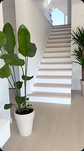 30K views · 4.8K reactions | Drewniane schody w naszym domu to coś, z...