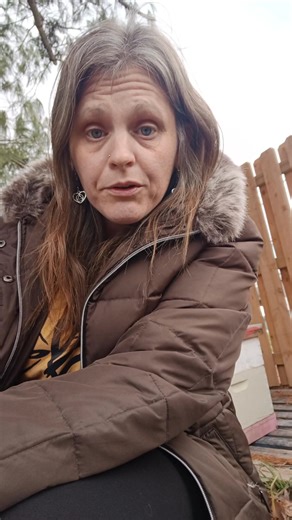 Myth: feeding your bees makes them lazy. #honeybees #beekeeper #truth #beekeeperlife #Bees #beekeeping #lazy | Mueller Honey Bee