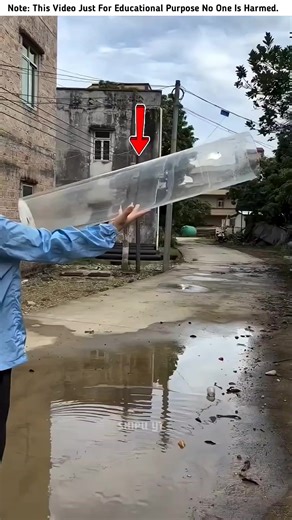 Building a Wooden Log Cabin in the Forest Step by Step