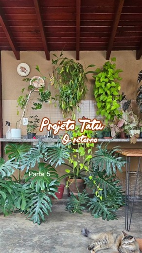 Transformando o Quintal em um Oásis Particular com Spa Inflável