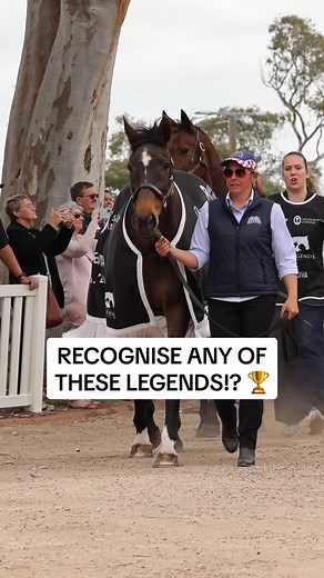 Past Melbourne Cup Winners and Legends Revealed!