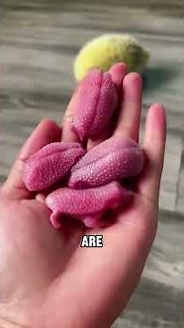 This Chubby Hedgehog Is Too Cute to Handle! 🦔😂💕 #fyp #cute #animals #shorts